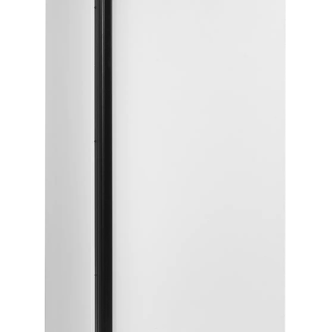 Armoire réfrigérée positive  1 porte  372 L