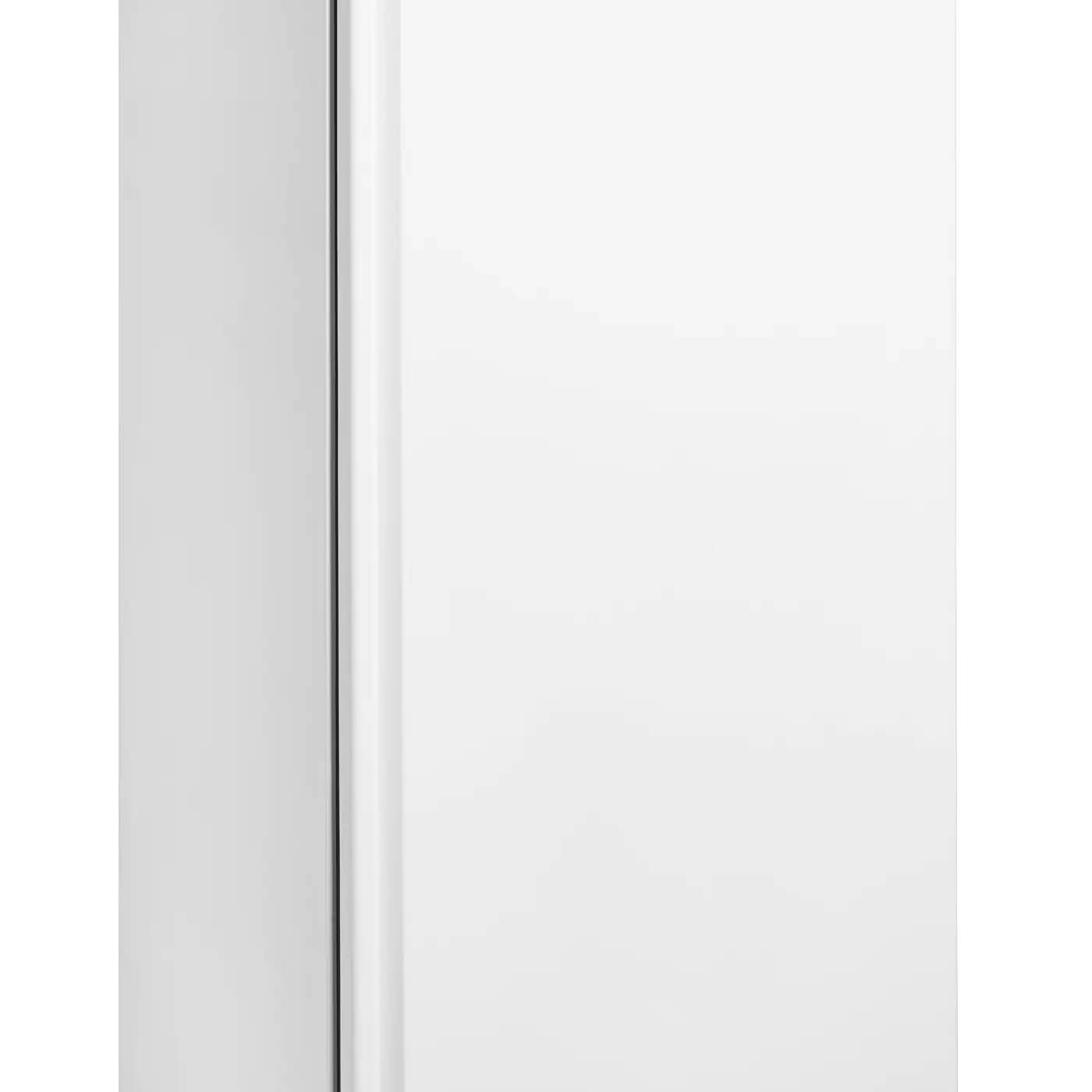 Armoire froide négative GN 2/1 avec paniers 605 L