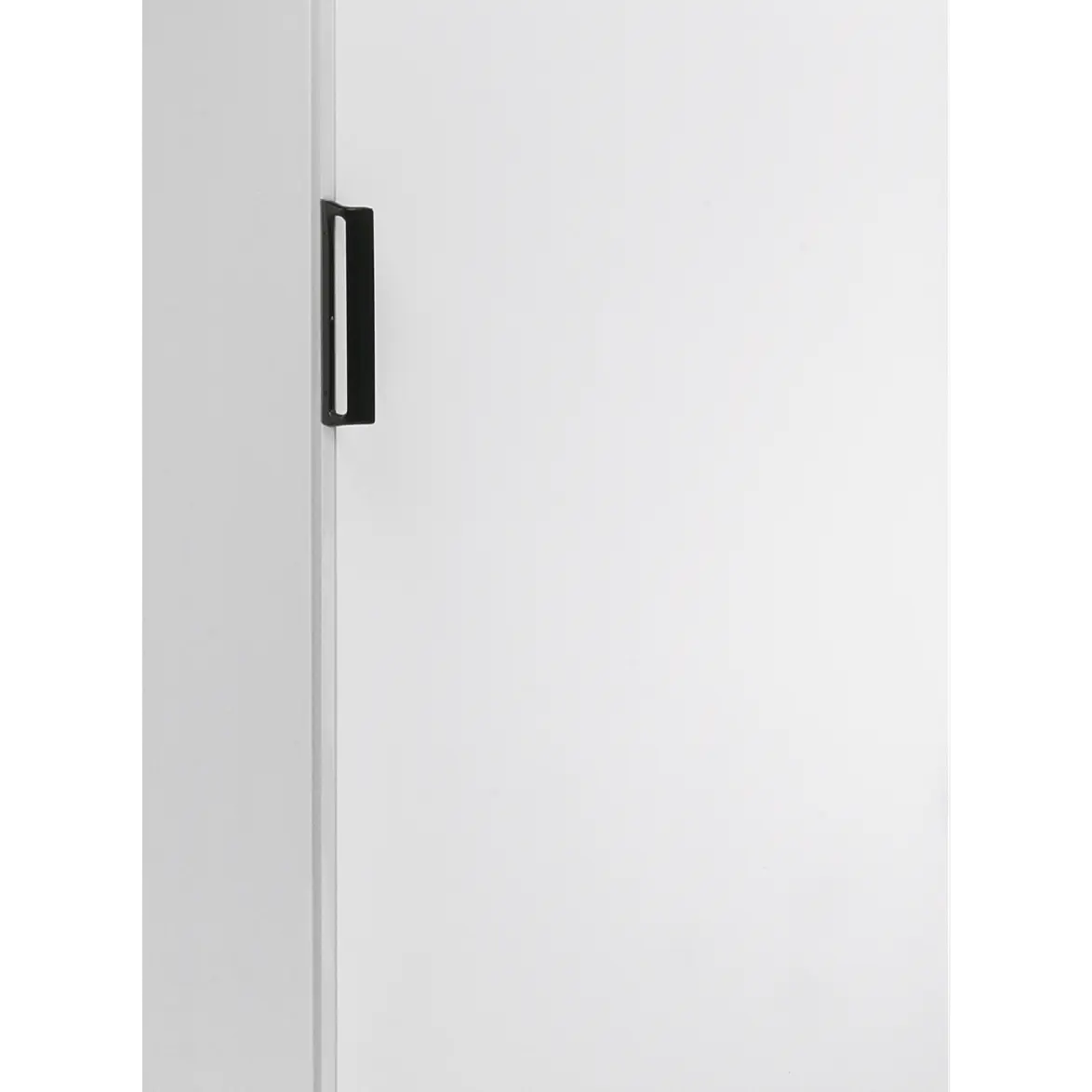 Armoire froide négative blanche 300 L