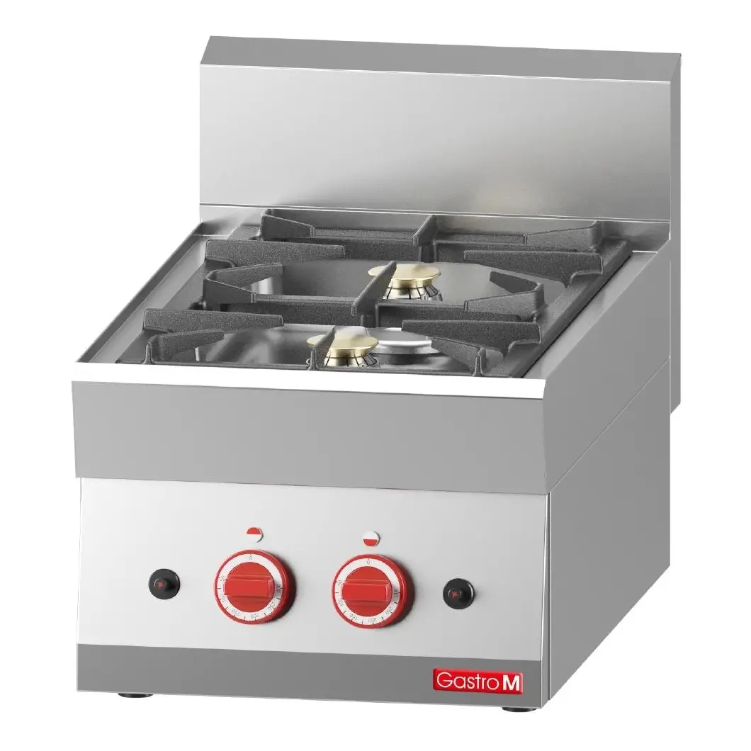 2 feux vifs gaz à poser Gastro M 65/40 PCG