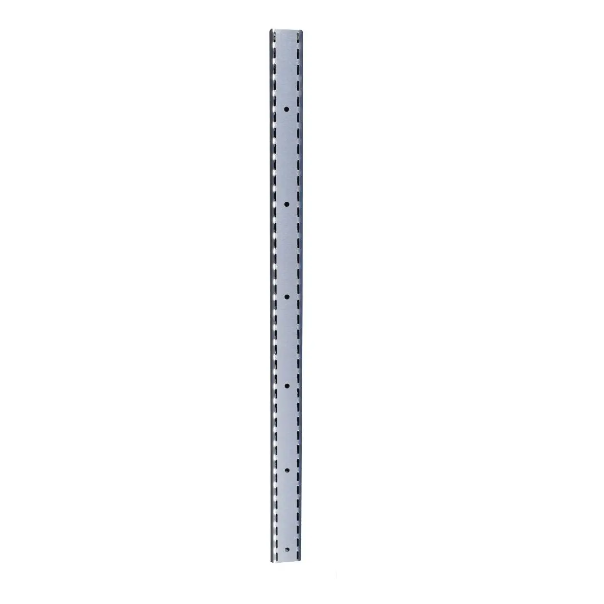 Crémaillère inox pour équerres DS453 Gastro M 1000mm